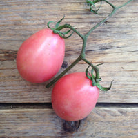 GRAINES DE TOMATES THAÏLANDAISE ROSE ŒUF